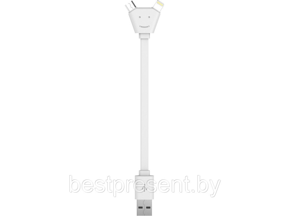 USB-переходник XOOPAR Y CABLE - фото 1 - id-p222297320