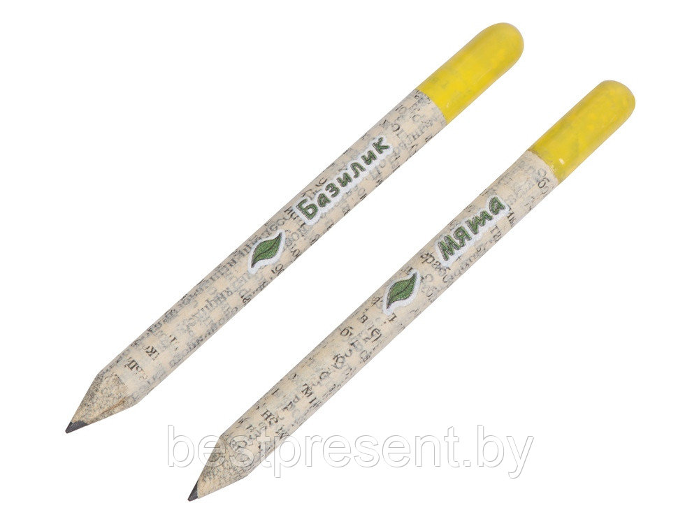 Набор растущих карандашей mini, 2 шт с семенами базилика и мяты - фото 1 - id-p222300467