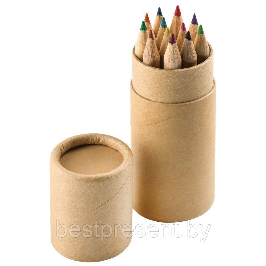 Набор цветных карандашей (12шт) "Игра цвета" в футляре - фото 1 - id-p222304447