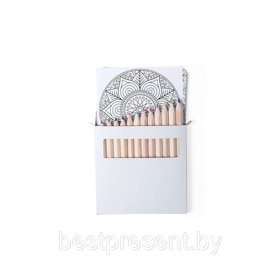Набор цветных карандашей с раскрасками BOLTEX - фото 1 - id-p222304476
