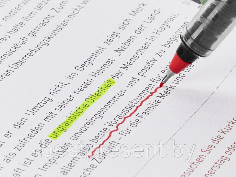 Ручка капиллярная "Recycled Pet Pen Pro FL" черный, стержень черный - фото 3 - id-p222312731