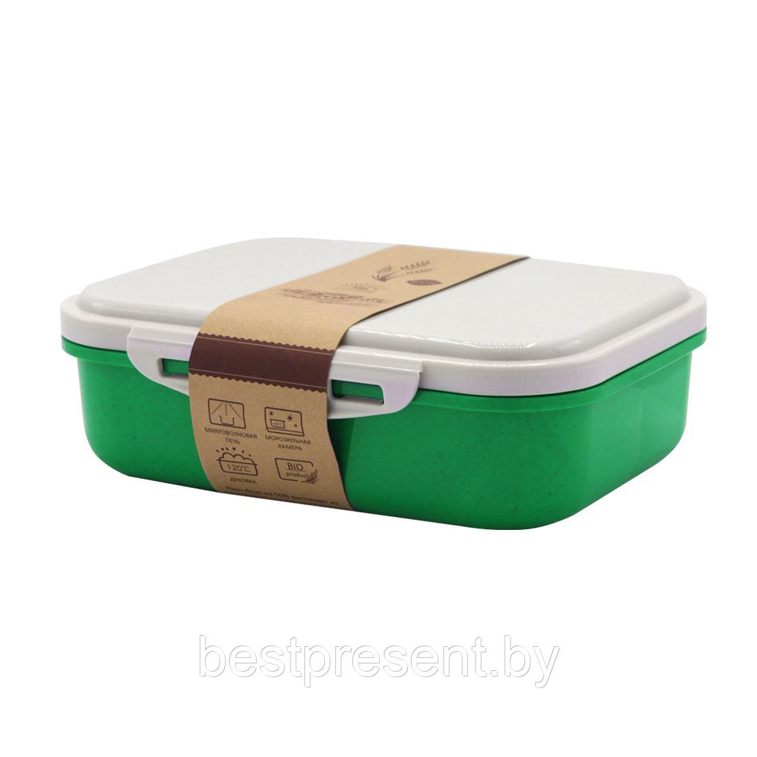 Ланчбокс (контейнер для еды) Frumento, зеленый - фото 1 - id-p222313224
