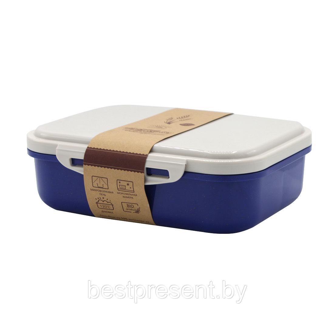 Ланчбокс (контейнер для еды) Frumento, синий - фото 1 - id-p222313225