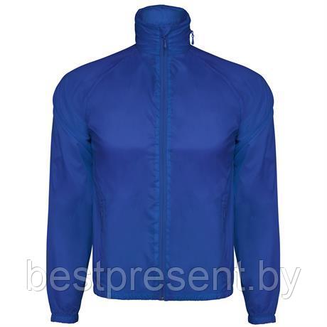 Куртка («ветровка») KENTUCKY мужская, королевский синий - фото 1 - id-p222315521