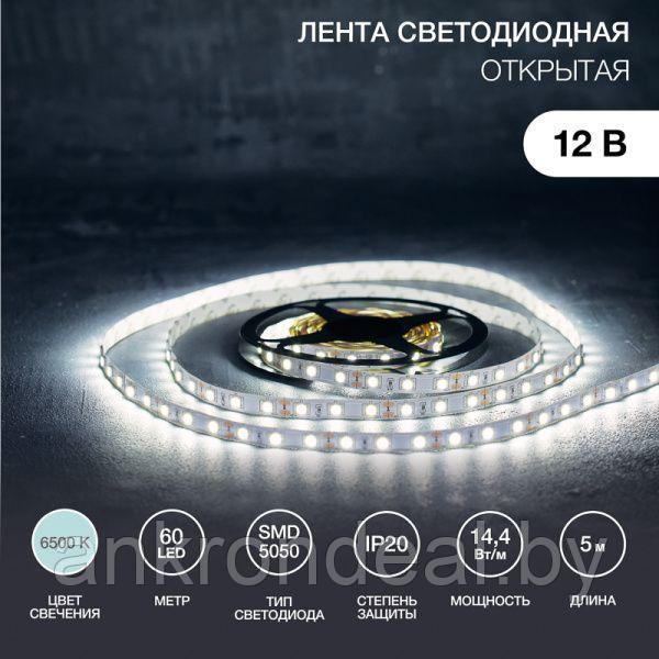 LED лента 5м открытая, 10 мм, IP23, SMD 5050, 60 LED/m, 12 V, цвет свечения белый LAMPER