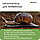 Субстрат кокосовый брикет 7л натуральный грунт для террариумов и растений, фото 8