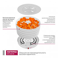 Сушилка для овощей и фруктов « Мастерица EFD-0501M», 125 Вт, белая