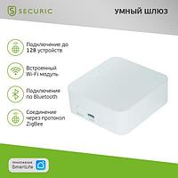 Умный Wi-Fi/Zigbee/Bluetooth шлюз SECURIC