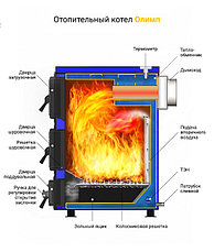 Котёл отопительный Везувий "Олимп-15", фото 3