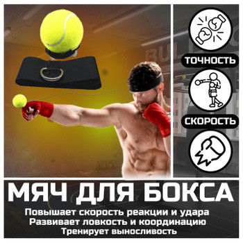 Тренажер мяч для бокса - фото 1 - id-p222423399