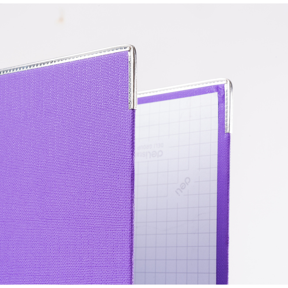 Папка регистратор А4, ПВХ Эко, 75 мм. "Deli" фиолетовый, с метал.уголком, арт.F818-PL - фото 2 - id-p222429864