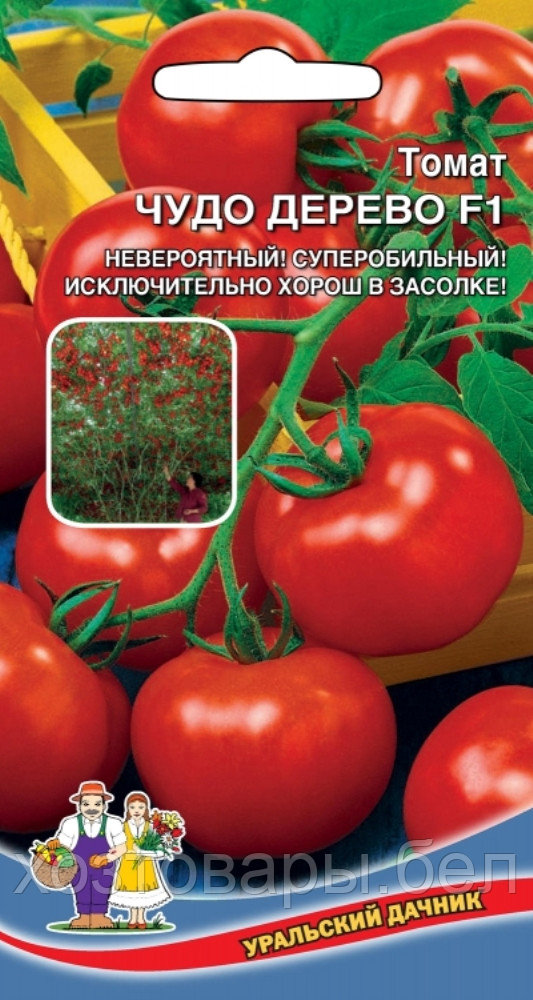 Томат Чудо дерево F1 0,1г Индет Ср (УД)