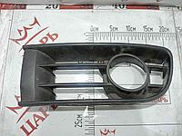 Заглушка (решетка) в бампер передний Volkswagen Polo 4 (6Q0853665A)