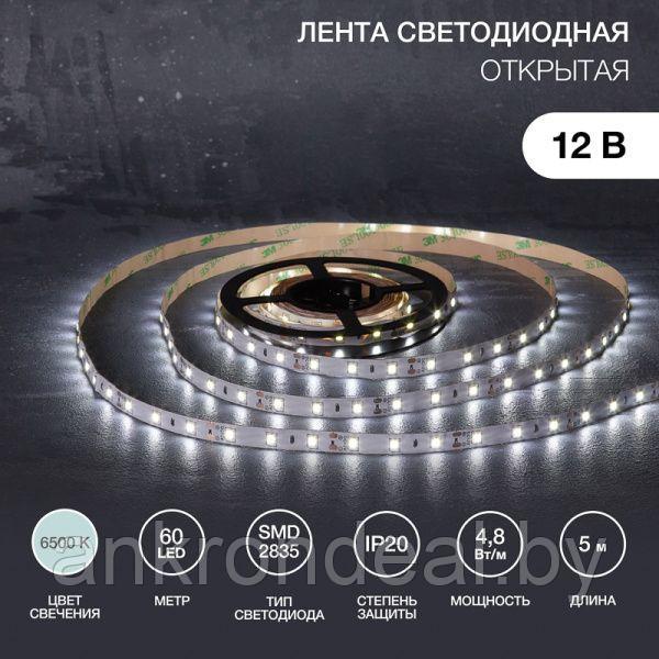 Лента светодиодная 12В, SMD2835, 4,8Вт/м, 60 LED/м, 6500К, 8мм, 5м, для БП с клеммами, IP20 LAMPER