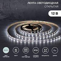 Лента светодиодная 12В, SMD2835, 4,8Вт/м, 60 LED/м, 6500К, 8мм, 5м, для БП с клеммами, IP20 LAMPER