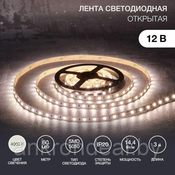 LED-лента 3 м 12 В 5050 4000 К IP23 60 LED/м для БП с клеммами LAMPER - фото 1 - id-p208257754