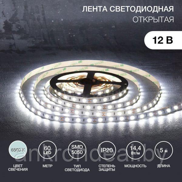 LED-лента 5 м 12 В 5050 6500 К IP23 60 LED/м для БП с клеммами LAMPER