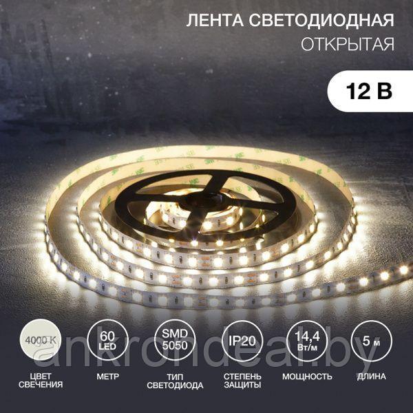 LED-лента 5 м 12 В 5050 4000 К IP23 60 LED/м для БП с клеммами LAMPER - фото 1 - id-p208257757