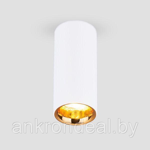 Светильник светодиодный накладной акцентный DLR030 12W 4200K белый матовый/золото Elektrostandard