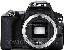 Зеркальный фотоаппарат Canon EOS 250D Body (черный)