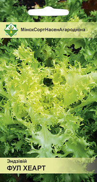 Семена Салат Эндивий (салатный цикорий) Фул хеарт (0,4 гр) МССО