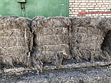 Пакля льняная строительная тюки по 40, 50кг, фото 3
