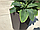 Горшок для цветов пластиковый Keter Rattan Plante 23,6л., коричневый, фото 4