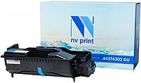 NV PRINT NV-44574302DU