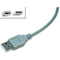 Gembird CC-USB2-AMBM-10 USB 2.0 кабель для соед. 3.0м AM/BM , пакет - фото 1 - id-p222067483