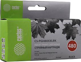 Картридж Cactus CS-PGI480XXLBK Black для Canon Pixma TS6140/TS8140/TS9140/TR8540