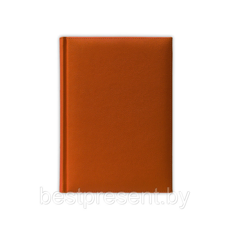 Ежедневник полудатированный A6, V59, PLAZA, оранжевый - фото 1 - id-p222545605