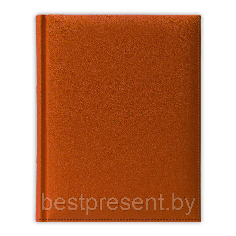 Ежедневник полудатированный V59 11х16,5 см PLAZA оранжевый без среза - фото 1 - id-p222545654
