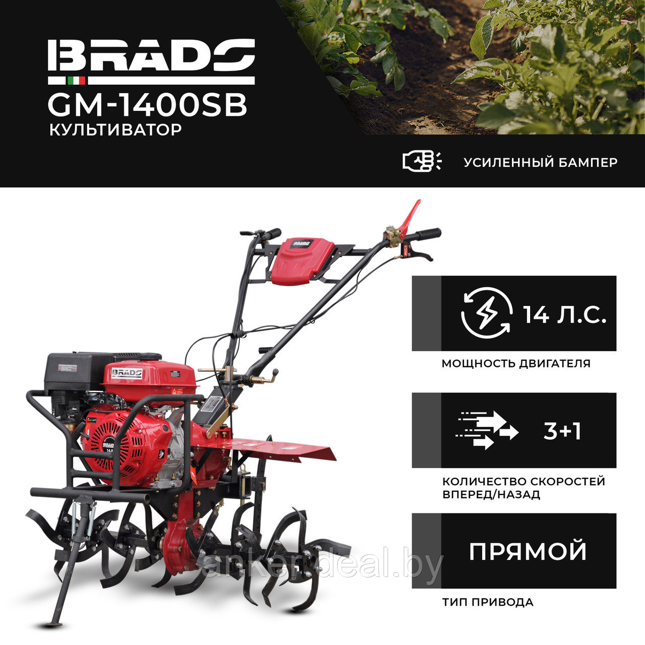 Культиватор BRADO GM-1400SB (14 л.с, без ВОМ, пон.пер, 3+1,кенгурятник, без колёс) - фото 1 - id-p222545843