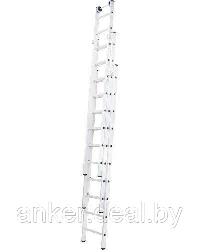 Индустриальная алюминиевая трехсекционная выдвижная лестница NV5270 3х17 - фото 1 - id-p222547010