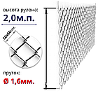 РАБИЦА высотой 2м. ОЦИНКОВАННАЯ толщиной 1.6мм. Сетка заборная в Бресте для ограждений.