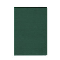 Ежедневник датированный V52 14,5х20,5 см TUCSON FLEX зеленый