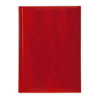 Ежедневник датированный A5, V52, NEBRASKA, красный