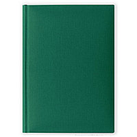 Ежедневник датированный V51 14,5x20,5 см CARIBE зелёный тонир. бумага