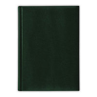 Ежедневник датированный V51 14,5x20,5 см NEBRASCA зеленый тонир. бумага