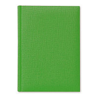 Ежедневник недатированный V81 14,5х20,5 см DELHI светло-зеленый тонир.бумага