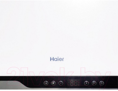 Газовый котел Haier TechLine 1.24 Ti / GE0Q6EE08RU - фото 2 - id-p222581023