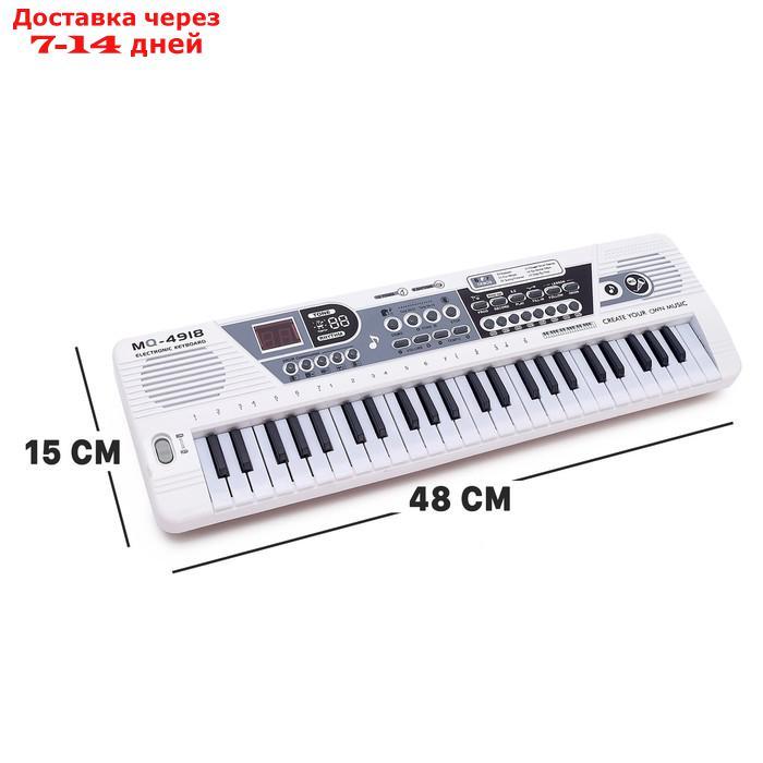 Синтезатор "Музыкант" с микрофоном, 49 клавиш, работает от сети и от батареек - фото 2 - id-p222540301