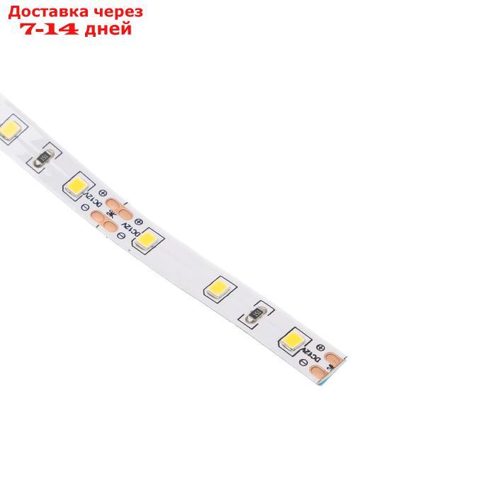 Светодиодная лента на катушке Ecola LED strip PRO, 8 мм, 12 В, 2800 К, 11 Вт/м, IP20, 5 м - фото 3 - id-p222540403