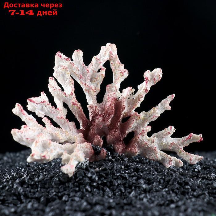 Декор для аквариума "Ветка коралла", 12 х 7 х 10 см - фото 2 - id-p222540527