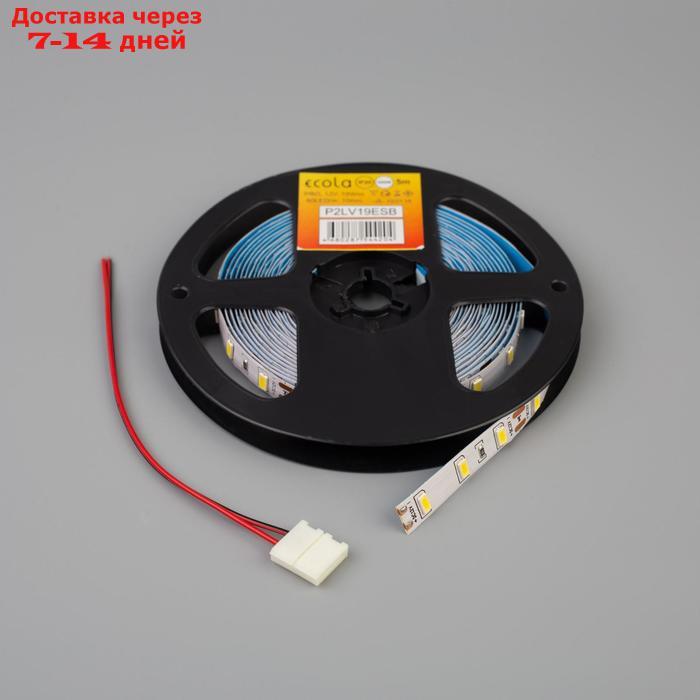 Светодиодная лента Ecola PRO, 12В, SMD5050, 5 м, IP20, 19Вт/м, 60 LED/м, 4200К - фото 3 - id-p222540634