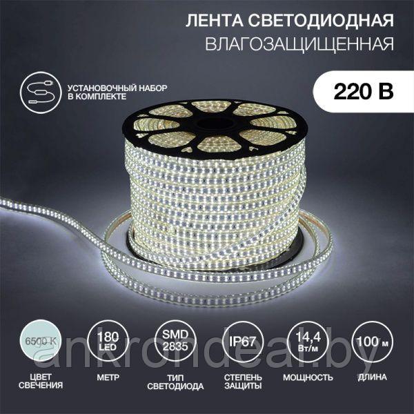 Лента светодиодная 220В, SMD2835, 180 LED/м, 6500К, 6,5x17мм, 100м, с кабелем питания, IP67 NEON-NIGHT - фото 1 - id-p222589435