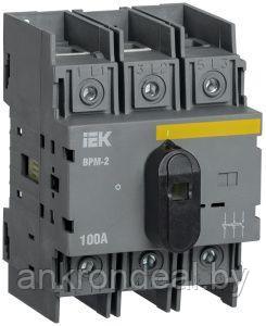 Выключатель-разъединитель модульный ВРМ-2 3P 100А IEK - фото 1 - id-p222592416
