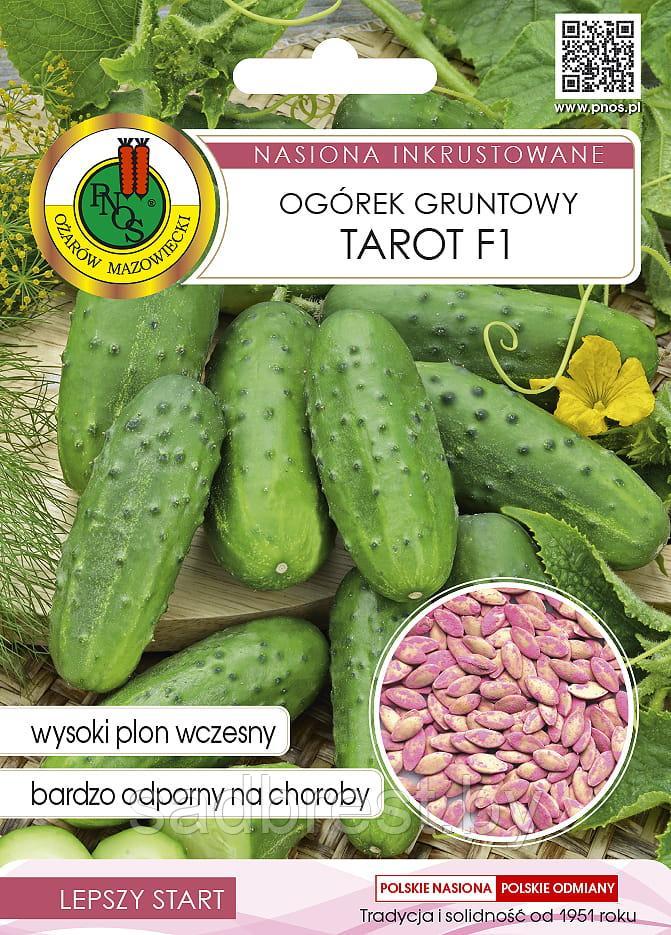 Семена инкрустированные * Огурец Тарот F1 (5 гр) PNOS Польша - фото 1 - id-p222611453