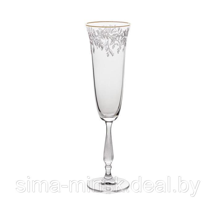 Набор бокалов для шампанского Fregata, декор «Панто, затирка золото, отводка золото», 190 мл x 6 шт. - фото 1 - id-p222620665