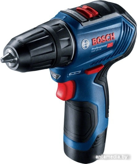 Дрель-шуруповерт Bosch GSR 12V-30 Professional 06019G9000 (с 2-мя АКБ, кейс)